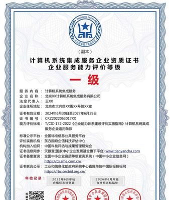 計算機系統集成服務企業資質證書 投標加分的利器，ESCE認證多網可查
